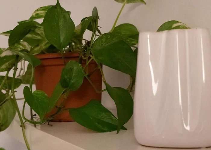 Apartment Casa Mimosa A 2 Passi Dal Mare Con Garage *